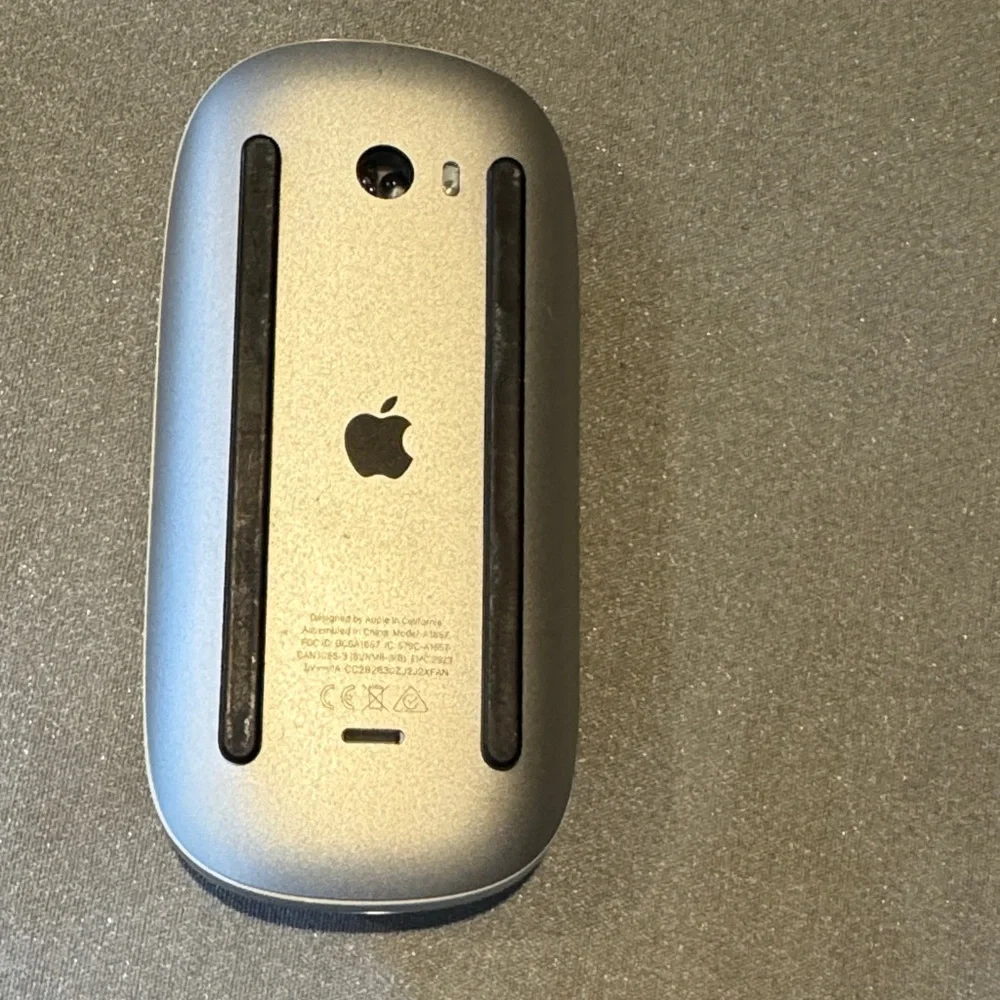 Apple Sleek Silver Mouse